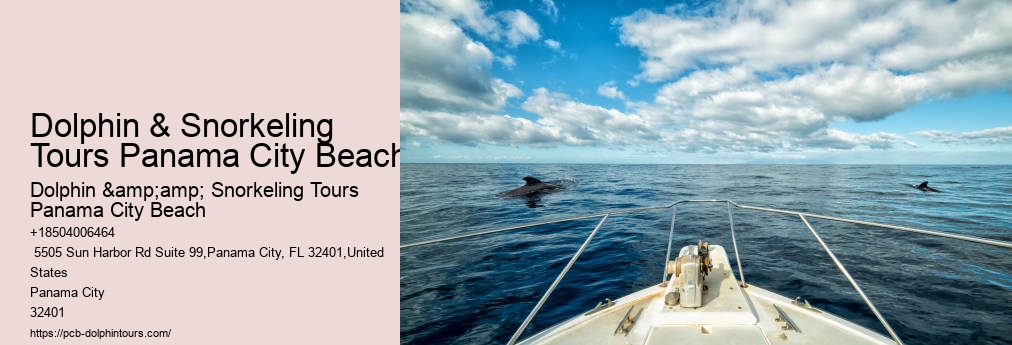 Snorkeling Tours In Panama City Beach Fl