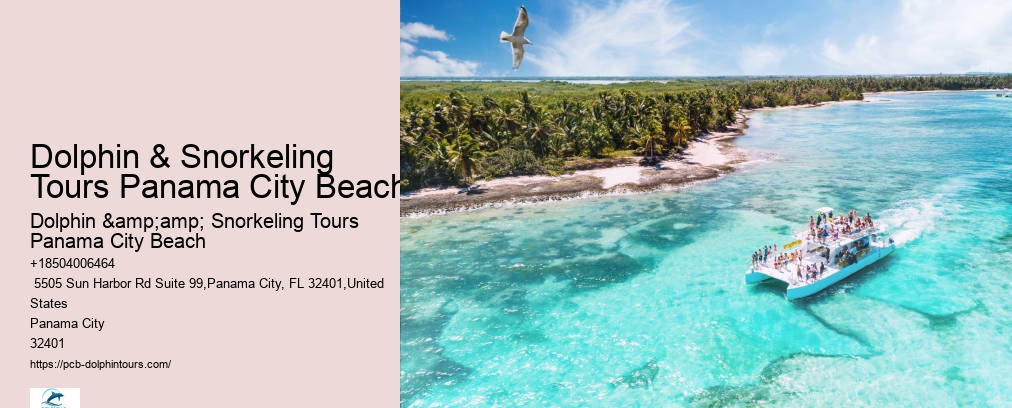 Dolphin And Snorkeling Tours Panama City Beach Fl