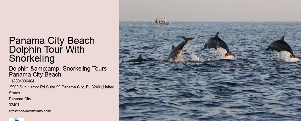 Panama City Beach Dolphin Tour With Snorkeling