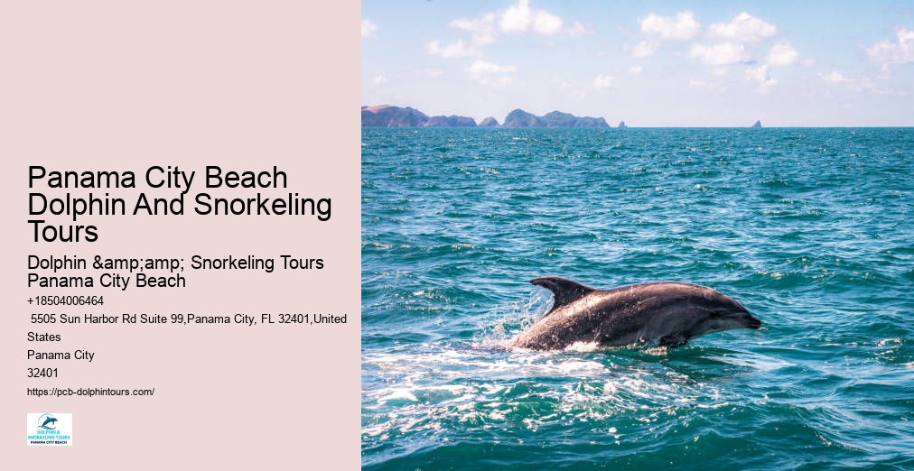 Panama City Beach Dolphin And Snorkeling Tours