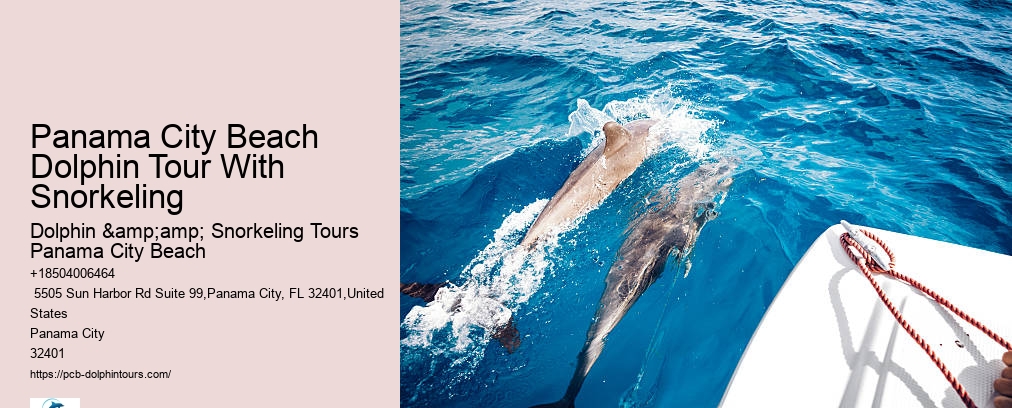 Shell Island Snorkel Cruise