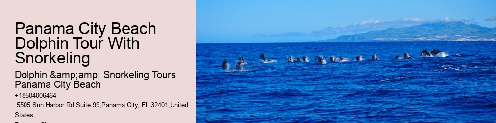 Shell Island Snorkeling
