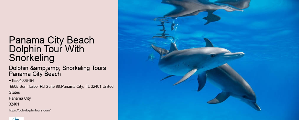 Dolphin & Snorkeling Tours Panama City Beach