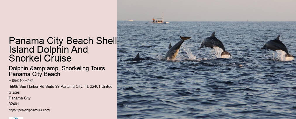 Panama City Beach Shell Island Dolphin And Snorkel Cruise