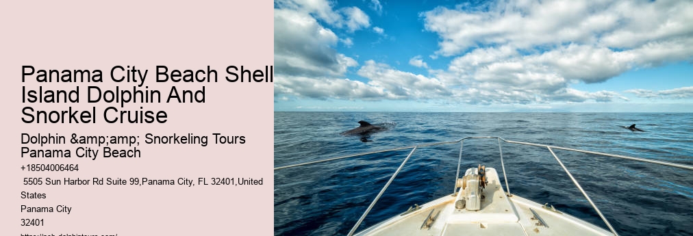 Shell Island Snorkel And Dolphin Catamaran Cruise