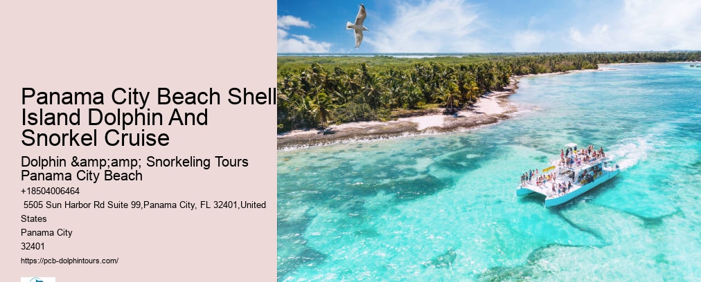 Dolphin & Snorkeling Tours Panama City Beach