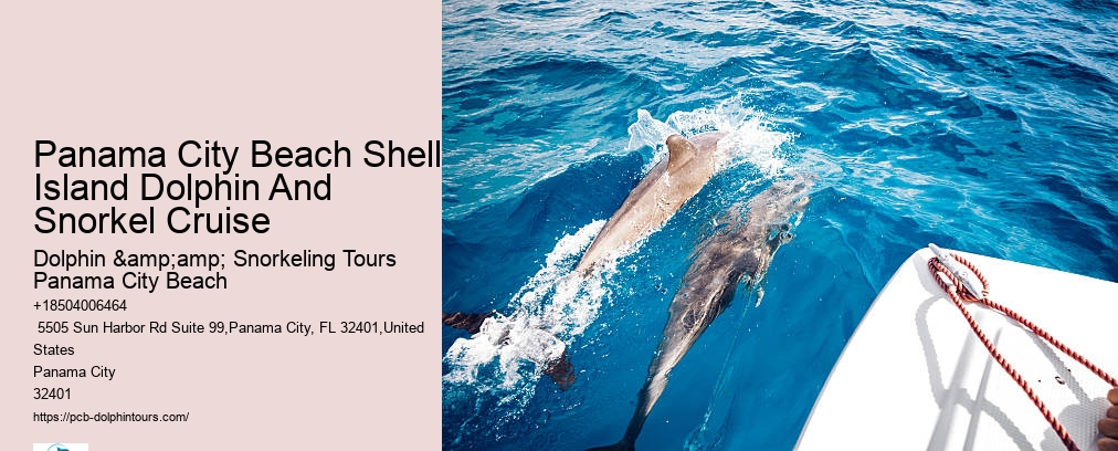 Snorkel Tour Panama City Beach