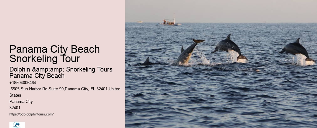 Panama City Beach Shell Island Dolphin And Snorkel Cruise