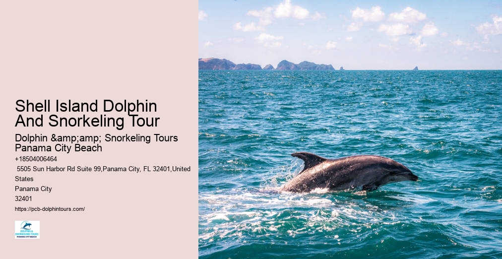 Shell Island Dolphin And Snorkeling Tour
