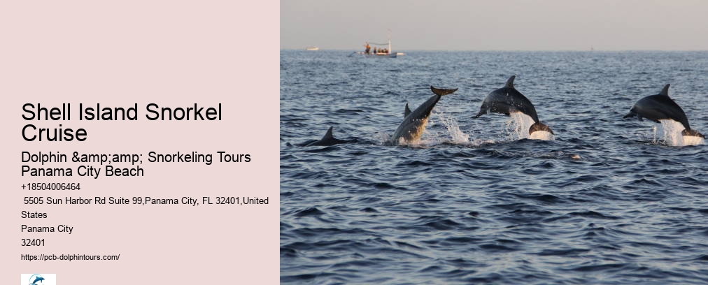 Shell Island Snorkel Cruise