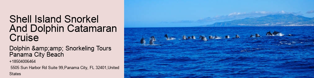 Dolphin And Snorkel Tours Panama City Beach