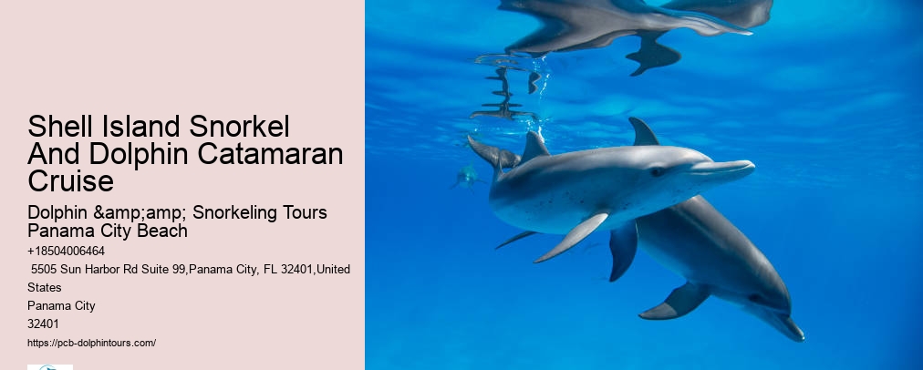 Panama City Beach Snorkeling Tour