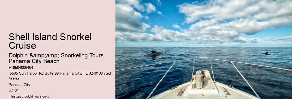 Snorkel Tour Panama City Beach