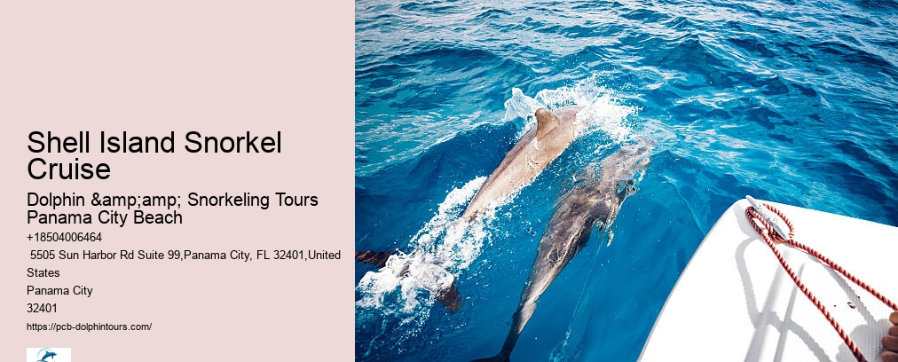 Panama City Beach Dolphin And Snorkeling Tours