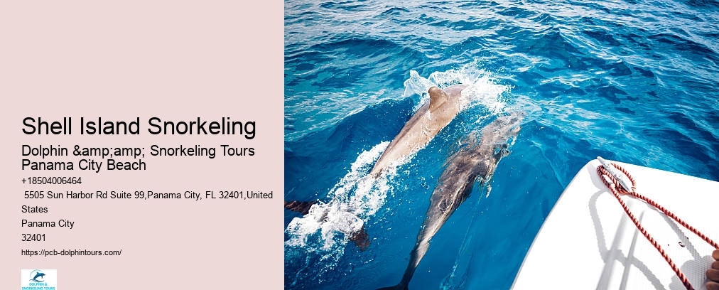 Snorkeling In Panama City Beach Florida