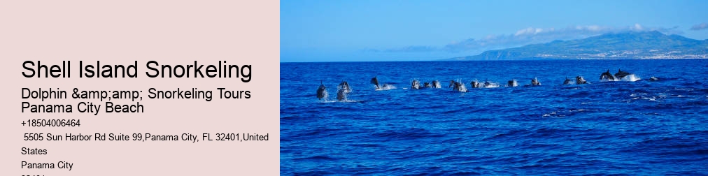 Snorkeling Panama City Beach