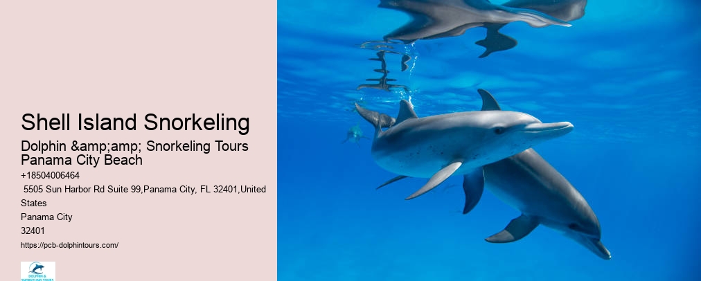 Dolphin & Snorkeling Tours Panama City Beach