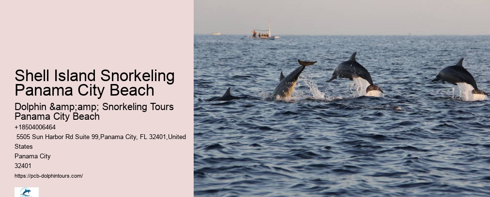 Shell Island Snorkel Cruise