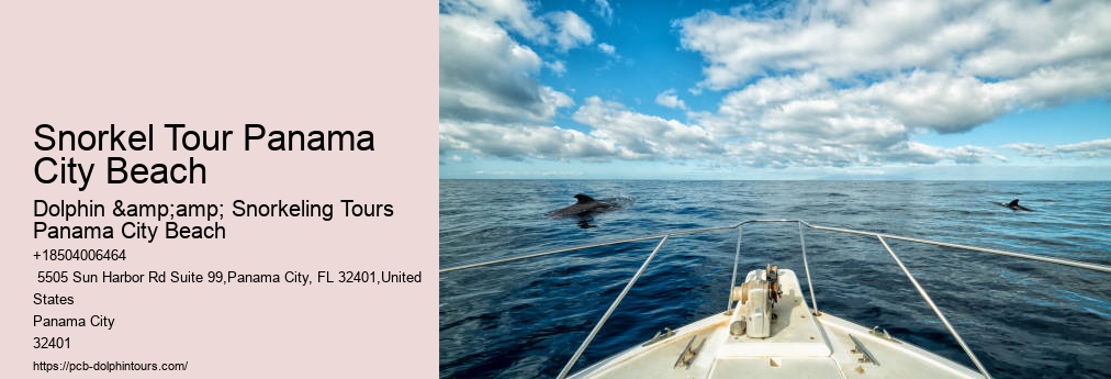 Dolphin & Snorkeling Tours Panama City Beach