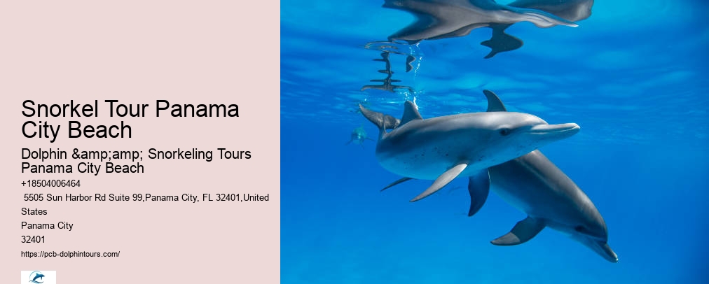 Snorkel Tour Panama City Beach