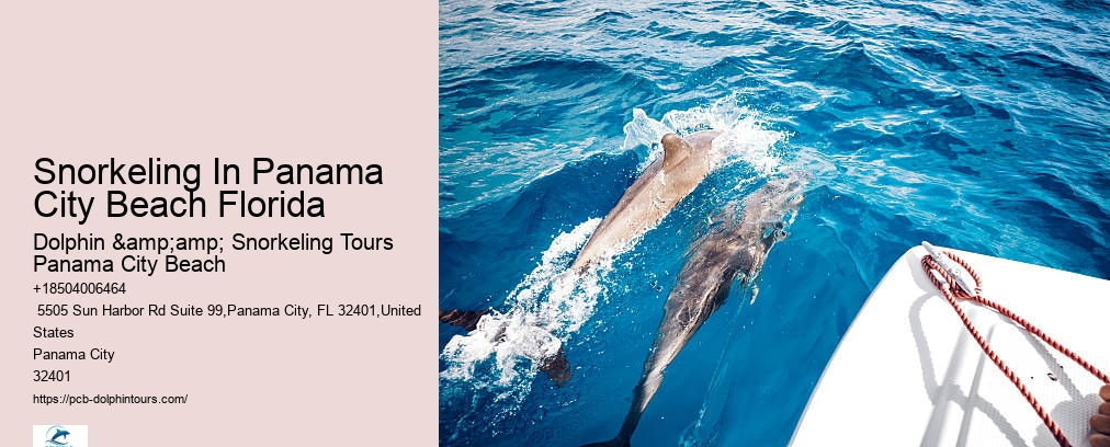 Snorkeling Tours Panama City Beach