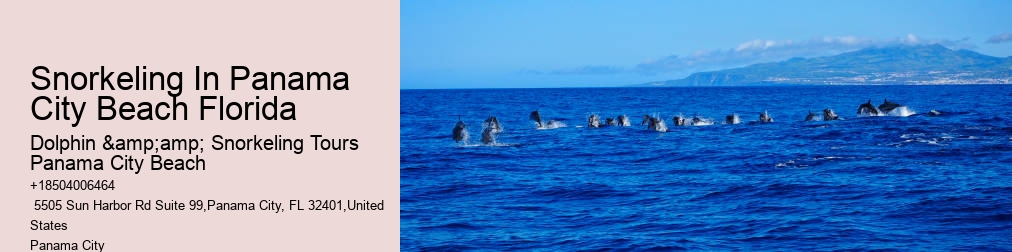 Dolphin & Snorkeling Tours Panama City Beach