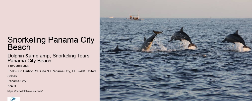 Snorkeling Panama City Beach