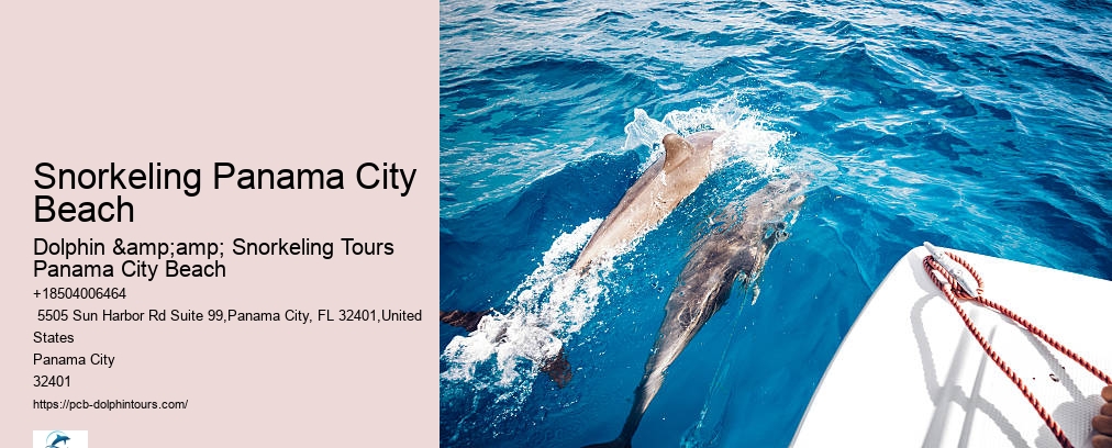 Dolphin & Snorkeling Tours Panama City Beach