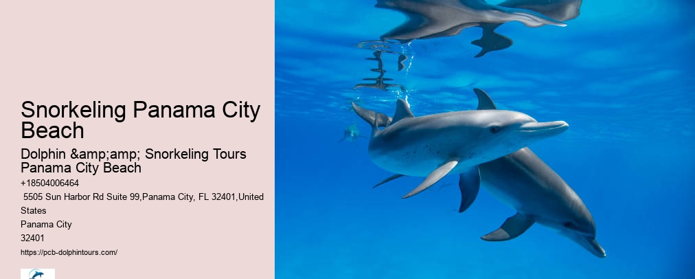 Snorkel Tour Panama City Beach