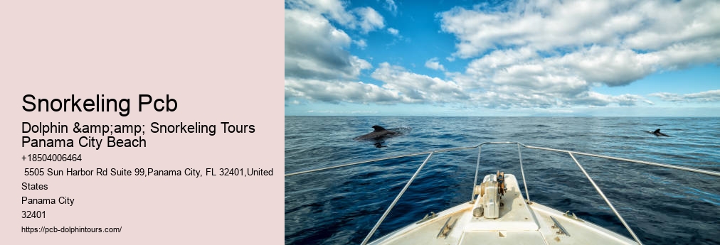 Dolphin And Snorkel Tours Panama City Beach