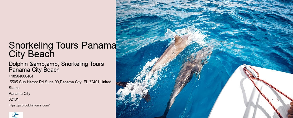 Snorkeling Tours Panama City Beach