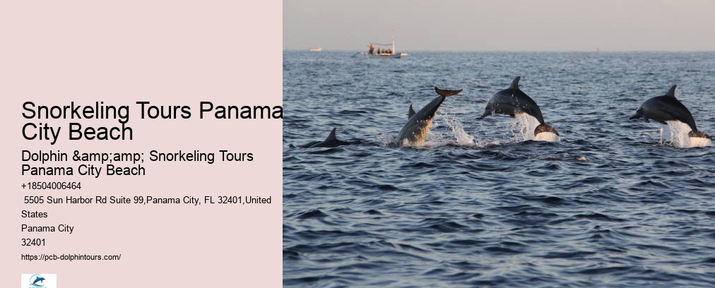 Dolphin And Snorkel Tours Panama City Beach