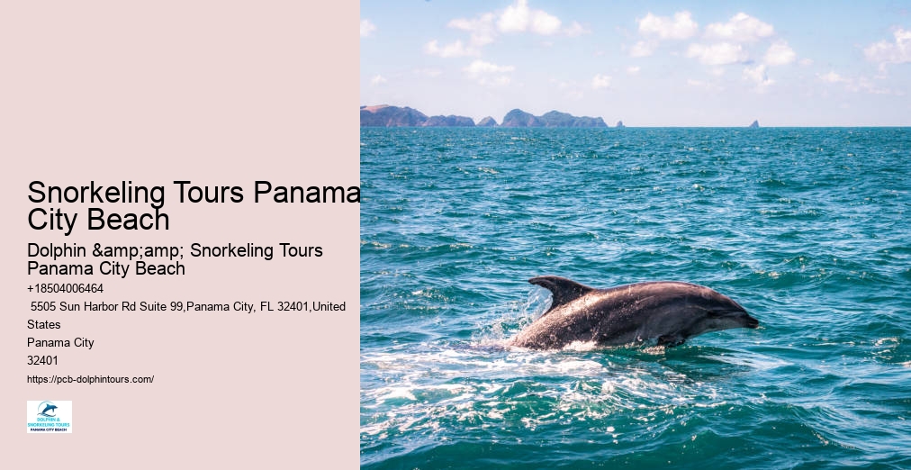 Dolphin Snorkeling Panama City Beach