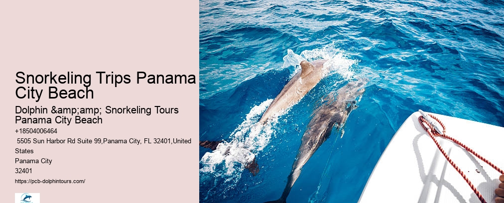 Panama City Beach Snorkeling Tour