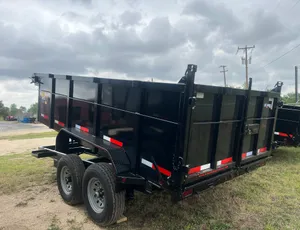 TEXAS BRAGG ED14HD14 14' HD DUMP 14 K 3' SIDES W/SPARE:042452