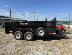 Texas Pride 16K DUMP TRAILER:3102