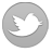 Follow us on Twitter