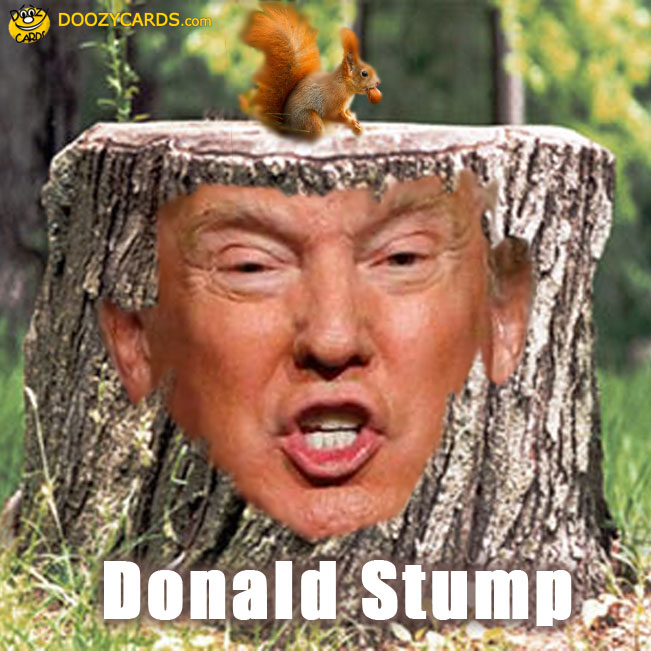 Donald Trump Fun