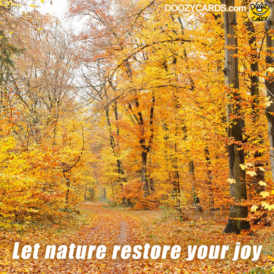 Let Nature Restore Your Joy