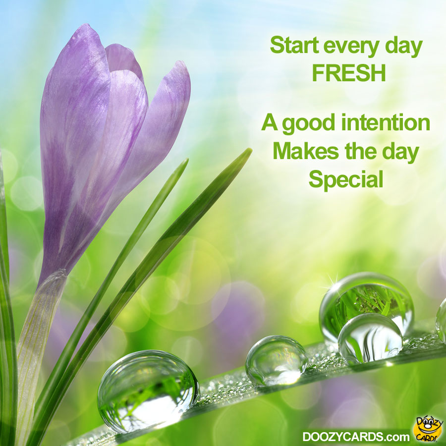 Start Every Day Fresh