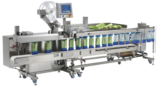 Fas SPrint Revolution