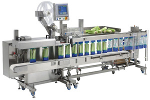 Fas SPrintRevolution