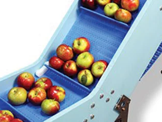 587_Dynamic_Conveyors_Apples.png
