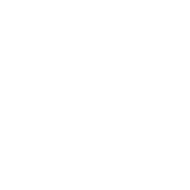 Offers Icon