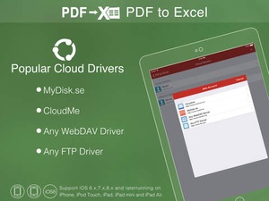 Screenshot PDF to Excel on iPad