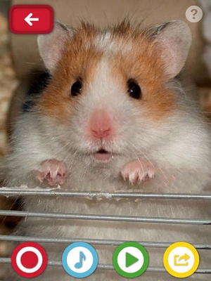Screenshot My Talking Pet on iPad