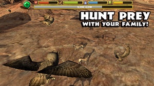 Screenshot Owl Simulator on iPhone