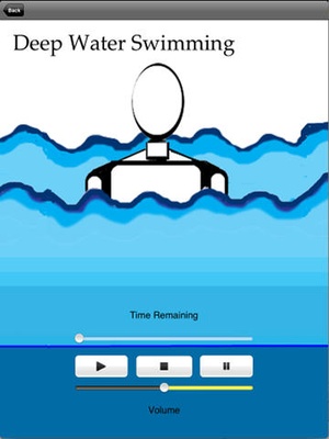 Screenshot ACT: Values on iPad