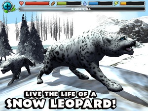 Screenshot Snow Leopard Simulator on iPad