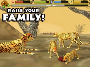 Screenshot Cheetah Simulator on iPad